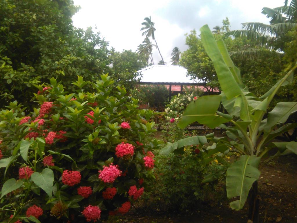 Hostal La Cascada San Ramon Mérida Zewnętrze zdjęcie
